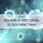 Hiểu đúng về Virus Corona và cách phòng tránh