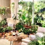 Lợi ích khi sử dụng cây xanh trong nội thất nhà ở