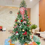 ÔNG GIÀ NOEL GHÉ THĂM